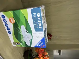 Modern Ceiling Fan With Light Remote Control 2 in 1 Design