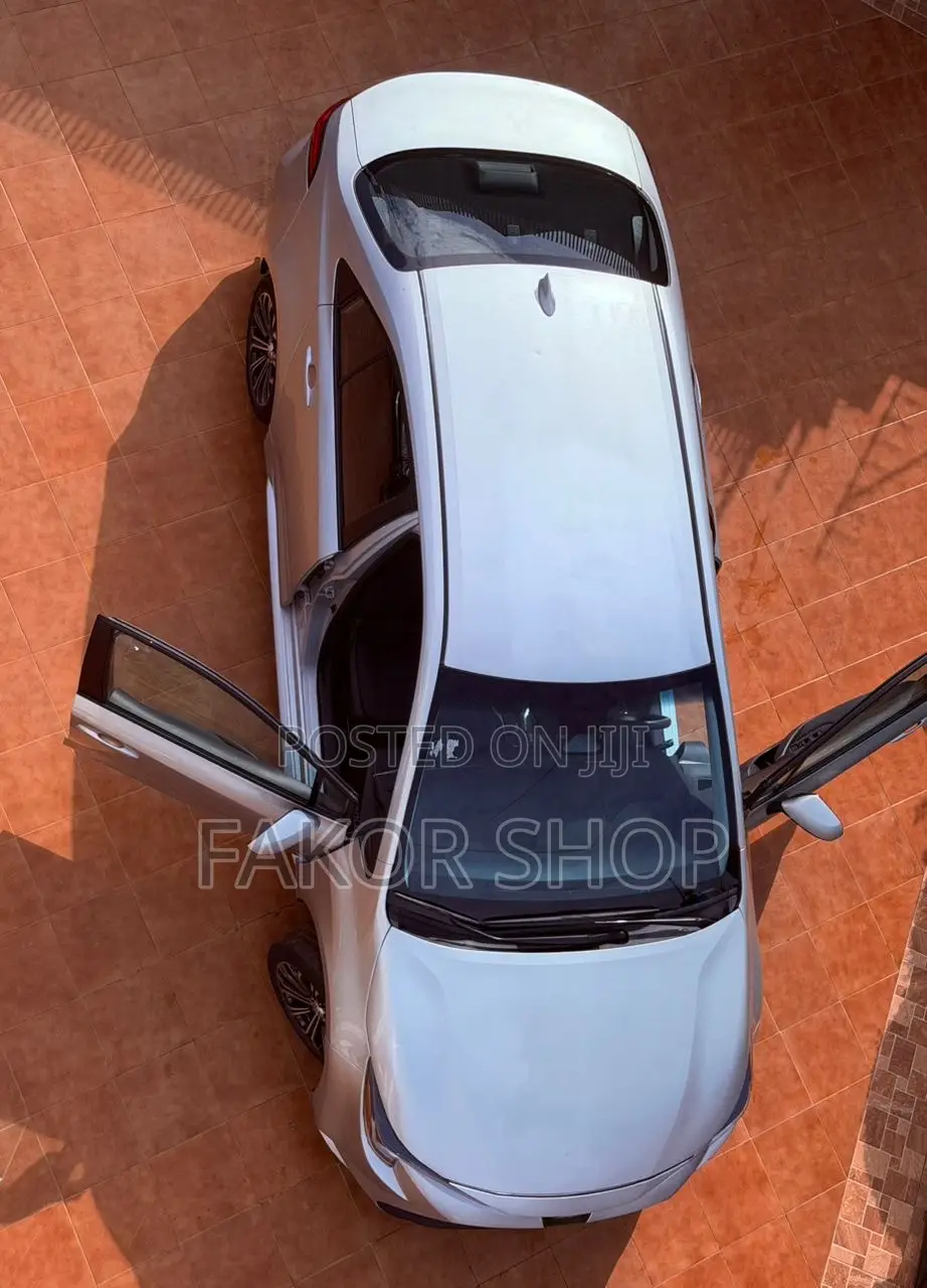 Toyota Corolla LE 2023 Gray