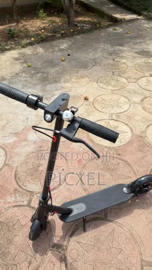 Electric Scooters