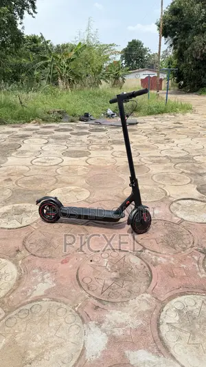 Electric Scooters