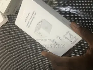 3-pin iPhone Charger