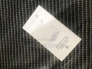3-pin iPhone Charger