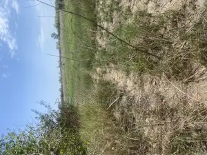 Beach Side With Lake Side Land at Gomoa Fetteh