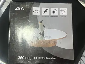 360 Degree Electric Turntable