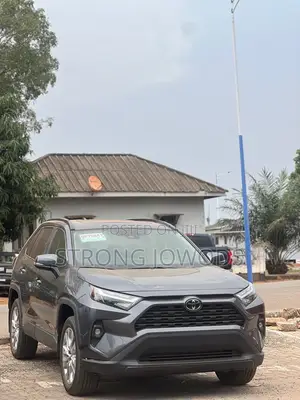 Toyota RAV4 XLE AWD 2024 Gray