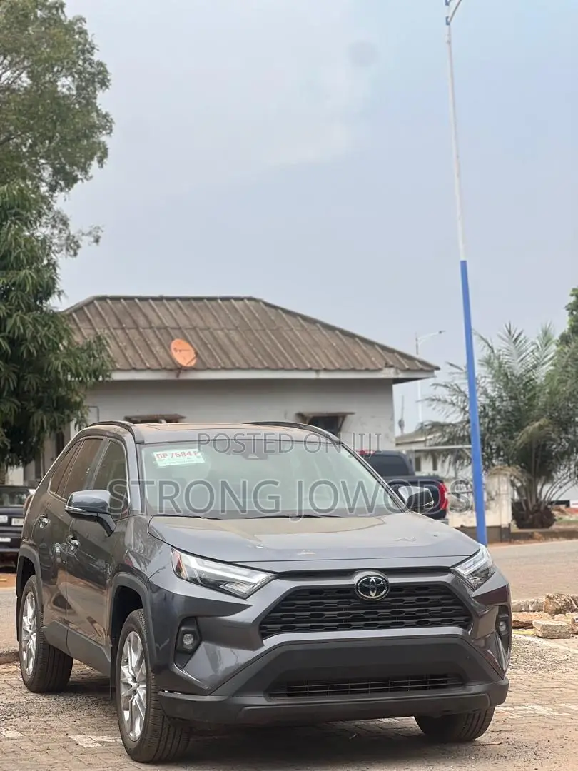 Toyota RAV4 XLE AWD 2024 Gray