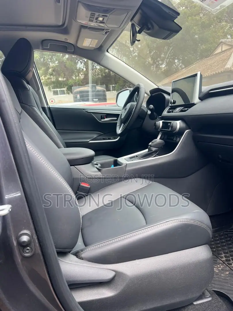 Toyota RAV4 XLE AWD 2024 Gray