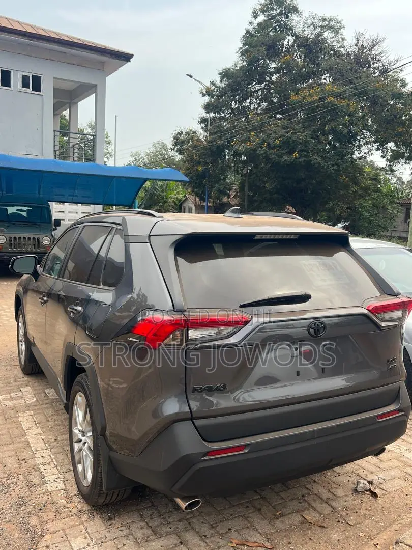 Toyota RAV4 XLE AWD 2024 Gray