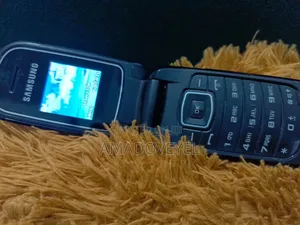 Samsung GT-E1080 Silver