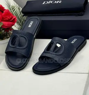 Luxurious Dior Slippers