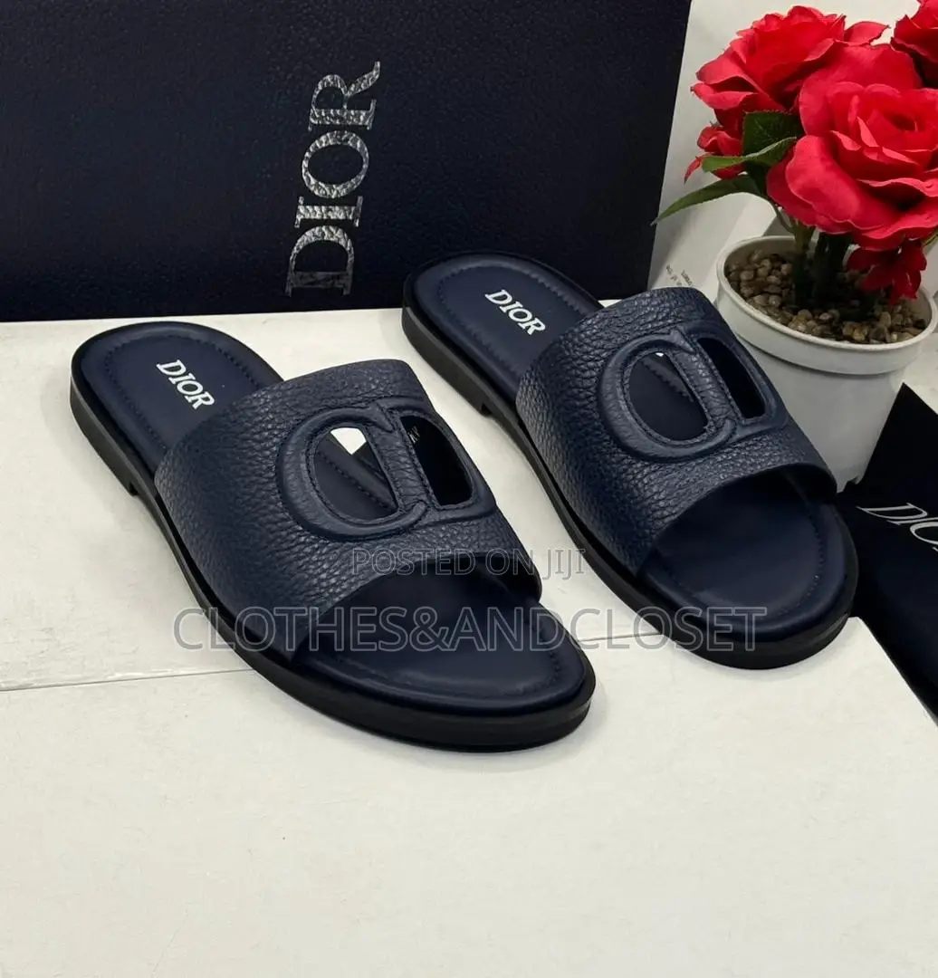 Luxurious Dior Slippers