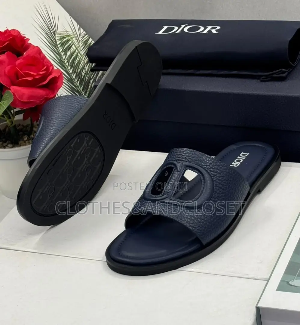 Luxurious Dior Slippers