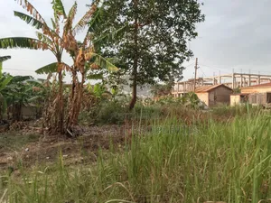 Plot for Sale at Afrancho ( Well Located Plot) 130*100 Ft