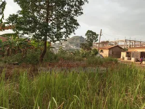 Plot for Sale at Afrancho ( Well Located Plot) 130*100 Ft