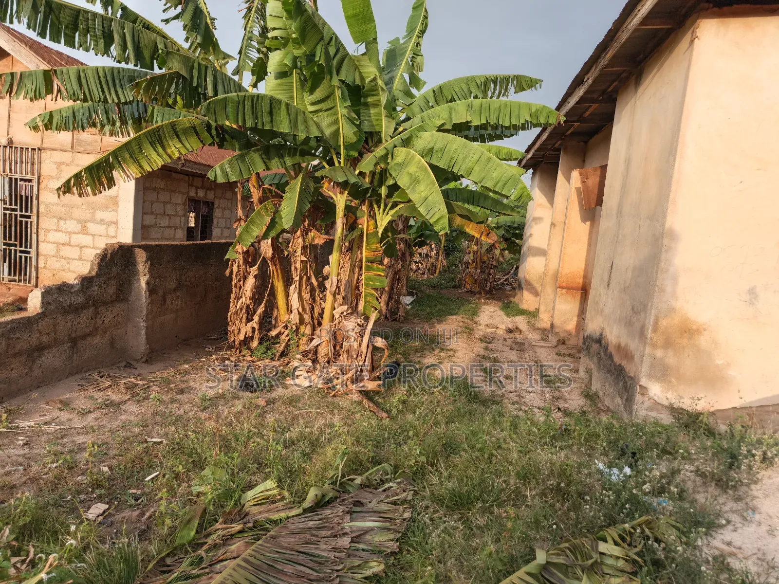 Plot for Sale at Afrancho ( Well Located Plot) 130*100 Ft