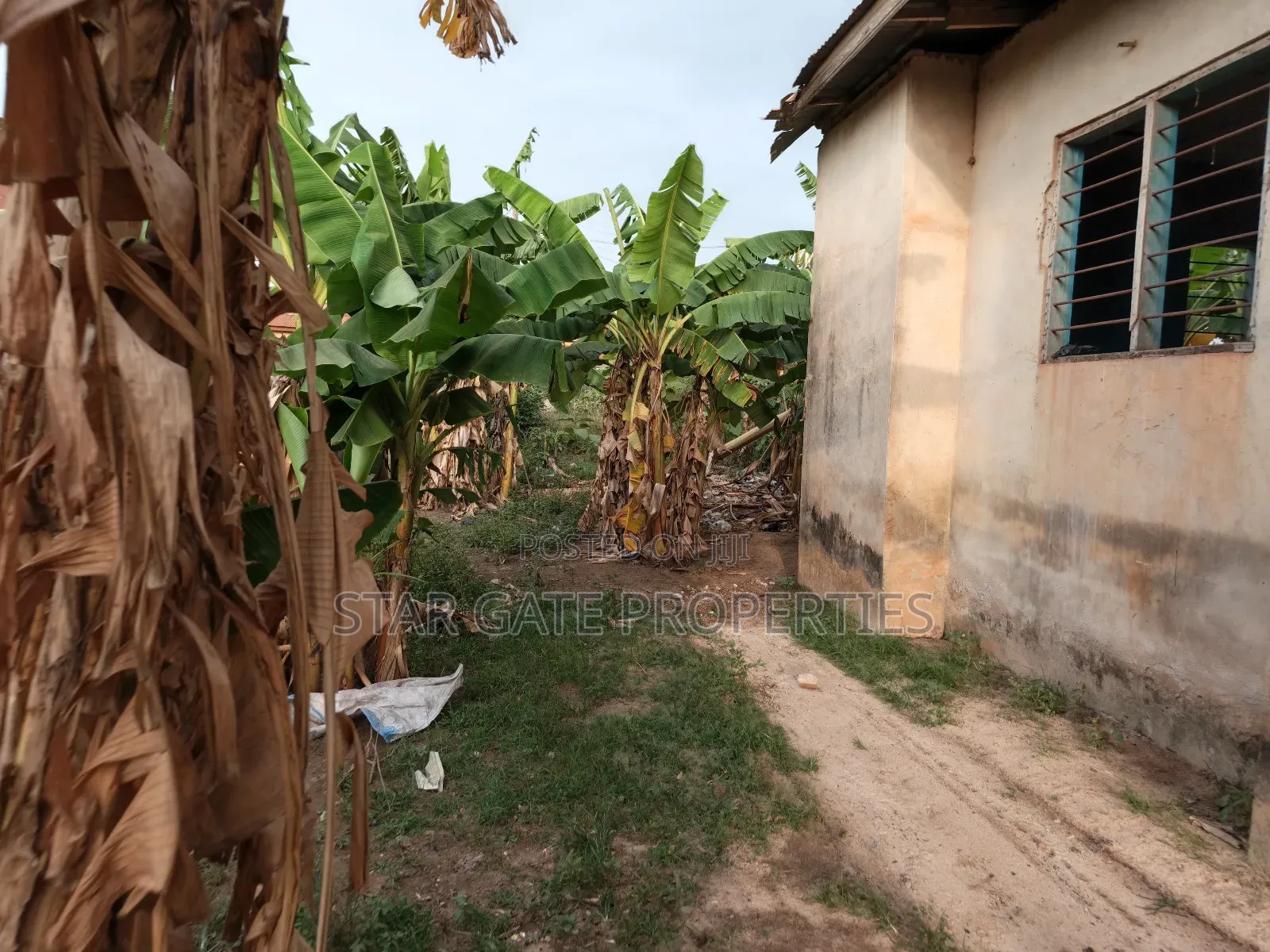 Plot for Sale at Afrancho ( Well Located Plot) 130*100 Ft