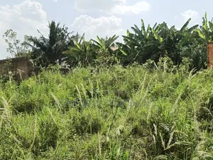 Filling Station Land ( 6 Plots ) Ejisu