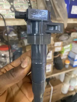 Plug Coil Hyundai Santafe V6