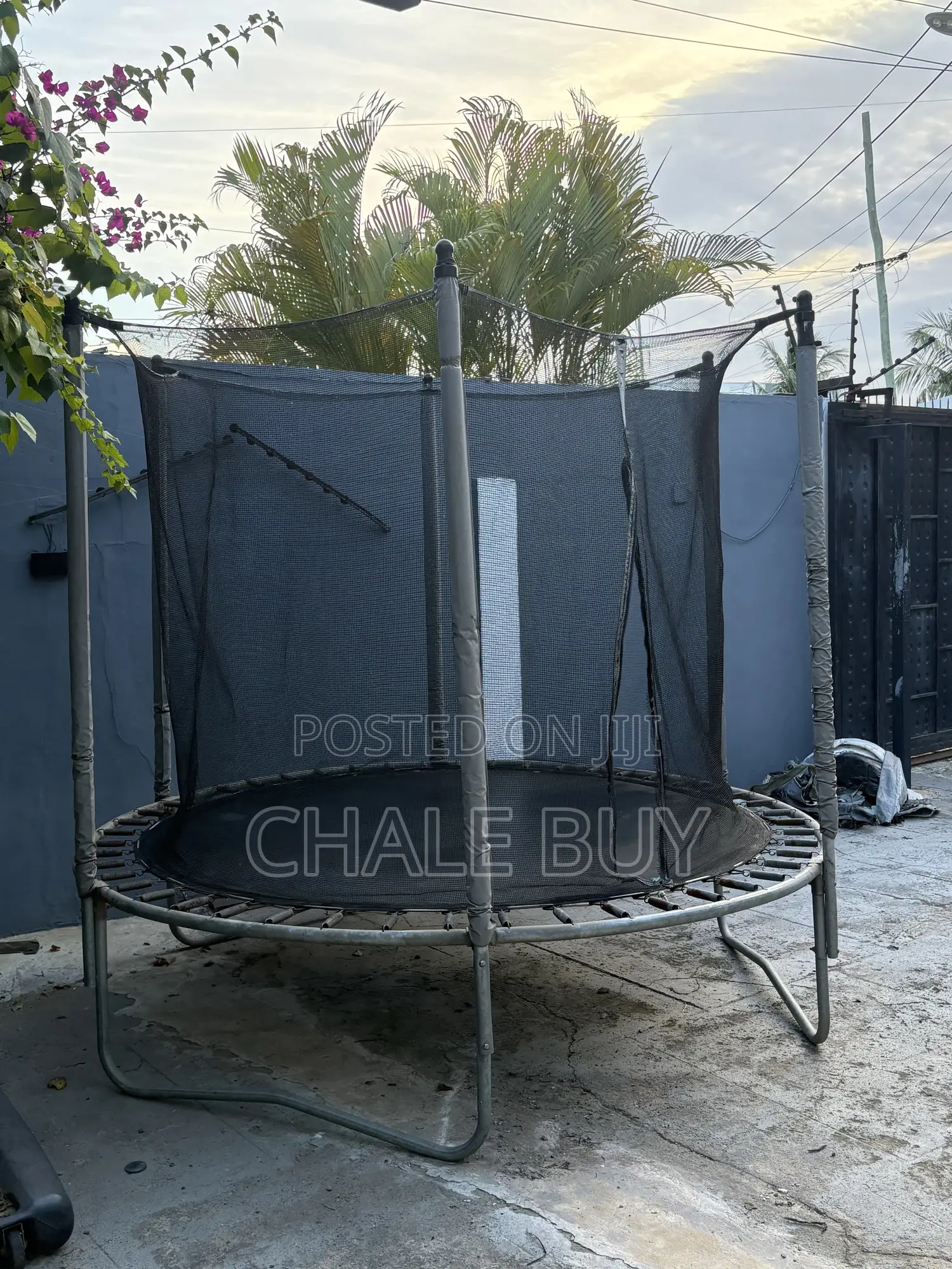Trampoline