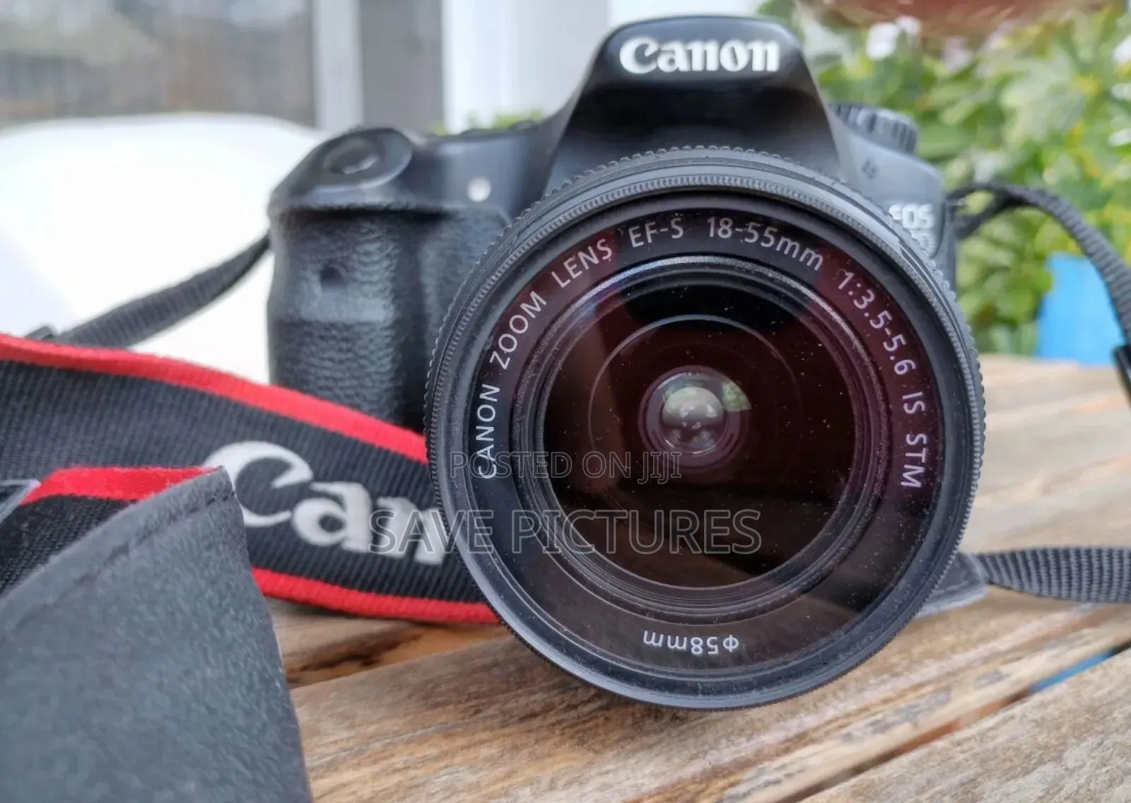 Canon 60d + Lens