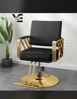 Salon Chair