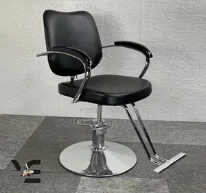 Salon Chair