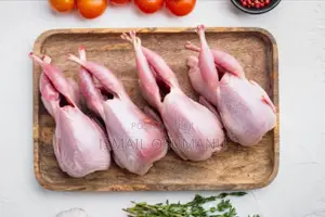 Matured Quail ( Live Or Butchered).