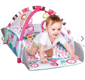 5-in-1 Baby Activity Gym Ball Pit With Toys (Grow-With-Me)