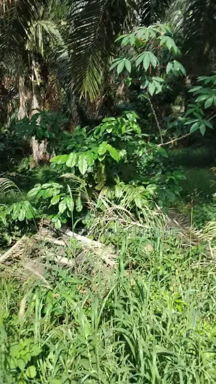 Farm Land for Sell at Very Affordable Price ,And Acres of Land