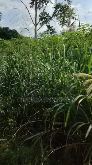 Farm Land for Sell at Very Affordable Price ,And Acres of Land