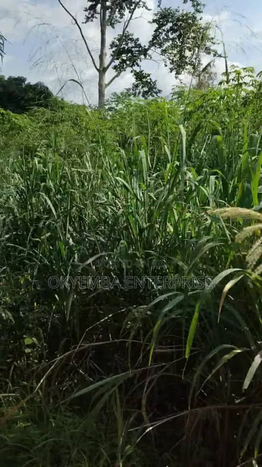 Farm Land for Sell at Very Affordable Price ,And Acres of Land
