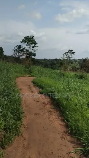 Farm Land for Sell at Very Affordable Price ,And Acres of Land