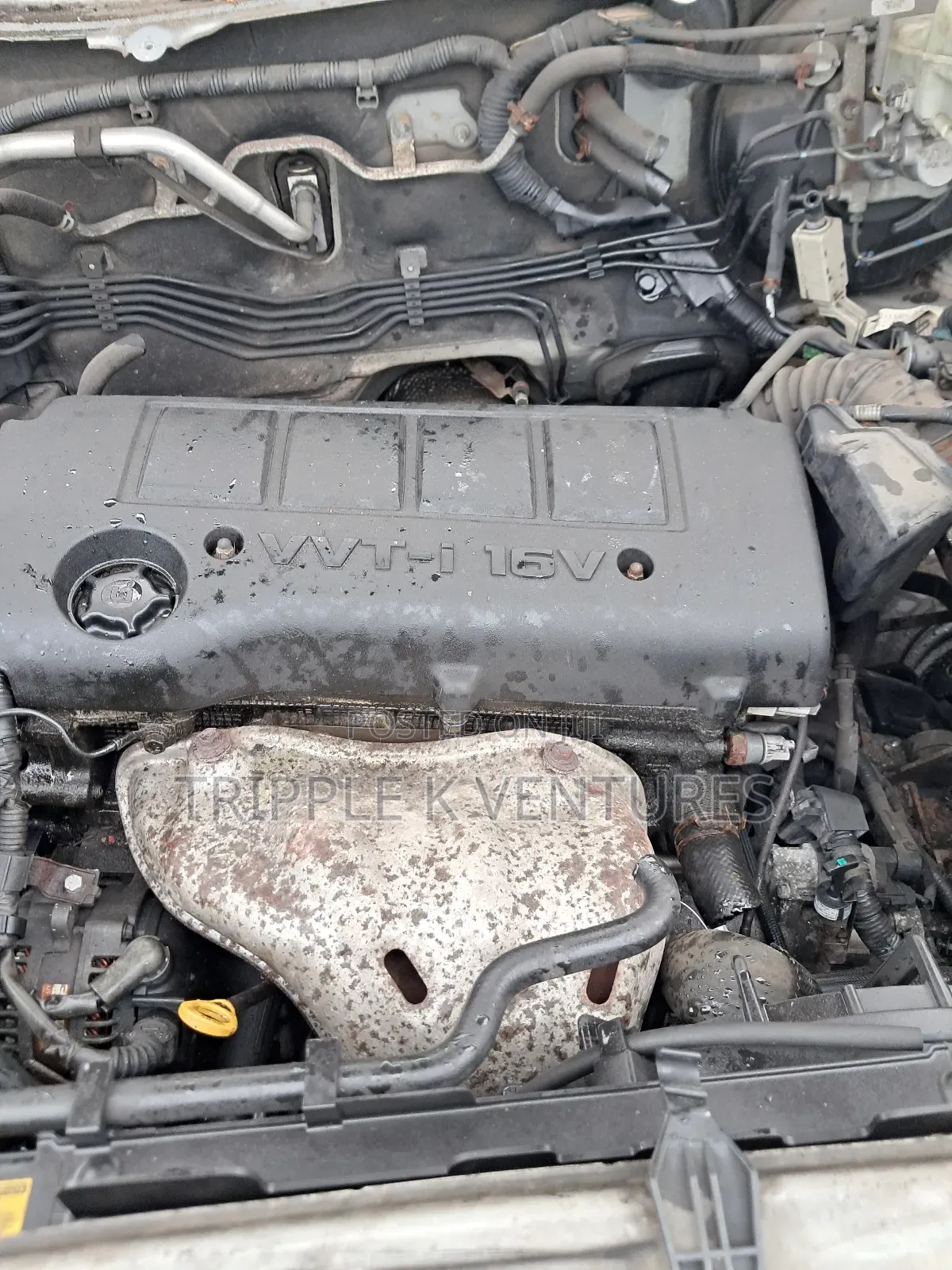 2009-2013 Vibe Matrix Corolla 2.4l Engine and Transmission