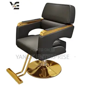 Salon Chair