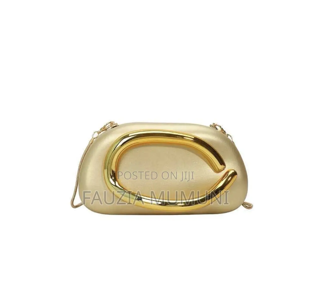 Luxurious Ladies Clutch