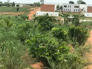 Serviced Plots Near Akotsi Junction – Only GHS (Flexible Payment )