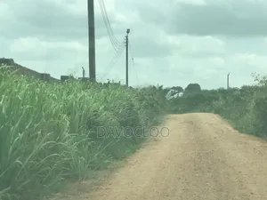 Serviced Plots Near Akotsi Junction – Only GHS (Flexible Payment )