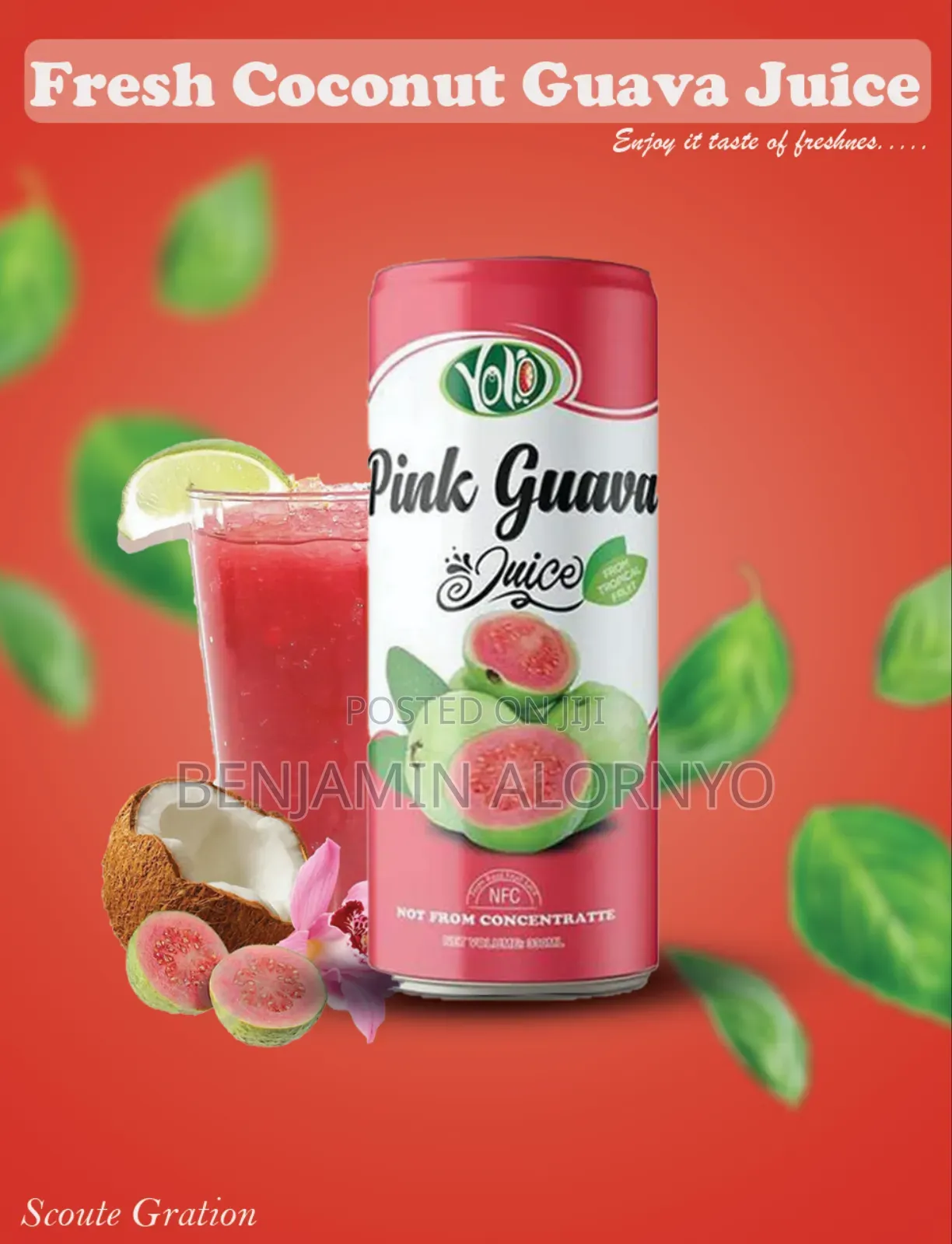 Website Designer , Flyers and Logo Design