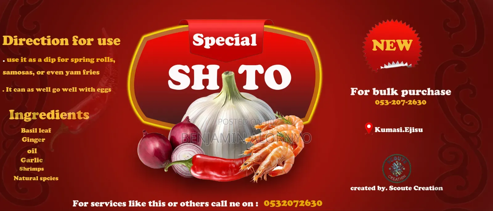 Website Designer , Flyers and Logo Design