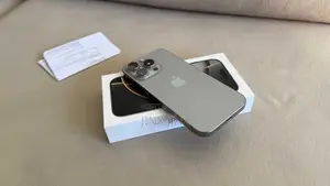 Apple iPhone 15 Pro Max 256 GB Silver