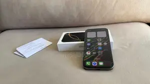 Apple iPhone 15 Pro Max 256 GB Silver