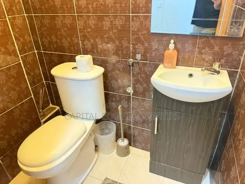 Furnished 3bdrm Apartment in Labone for rent