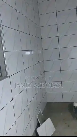 Professional Tiling Master