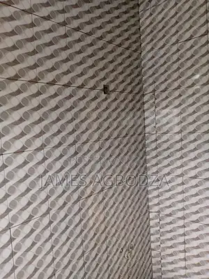 Professional Tiling Master