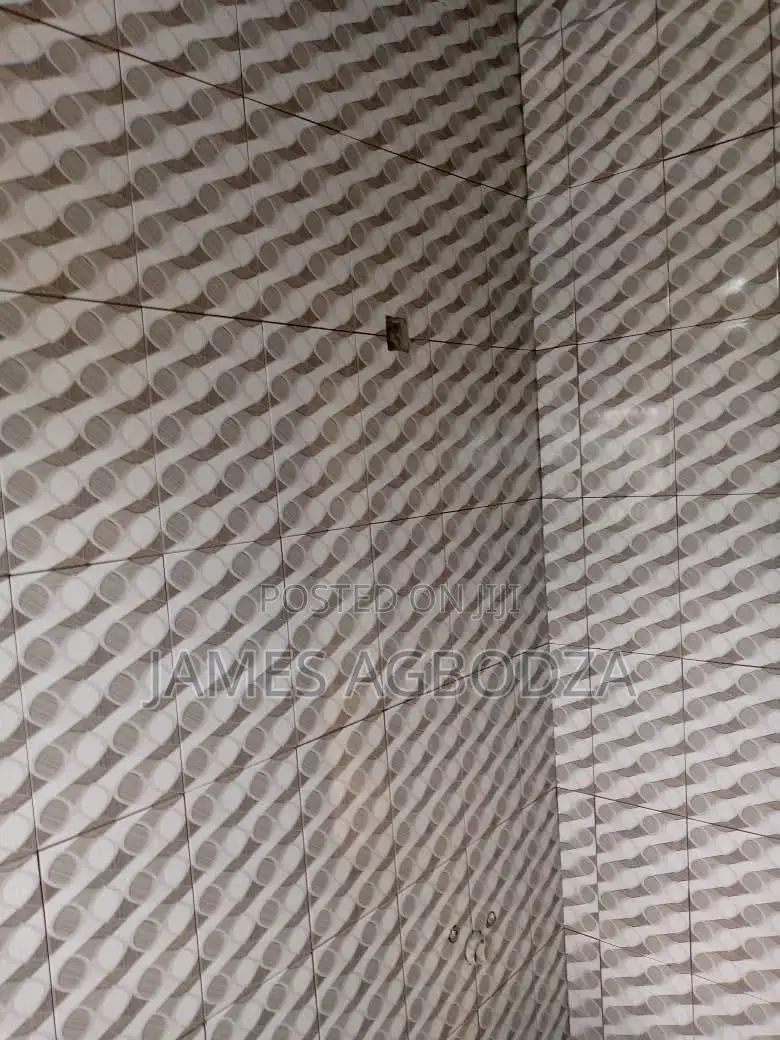 Professional Tiling Master