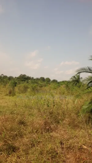 Land for Sale at Nsawam