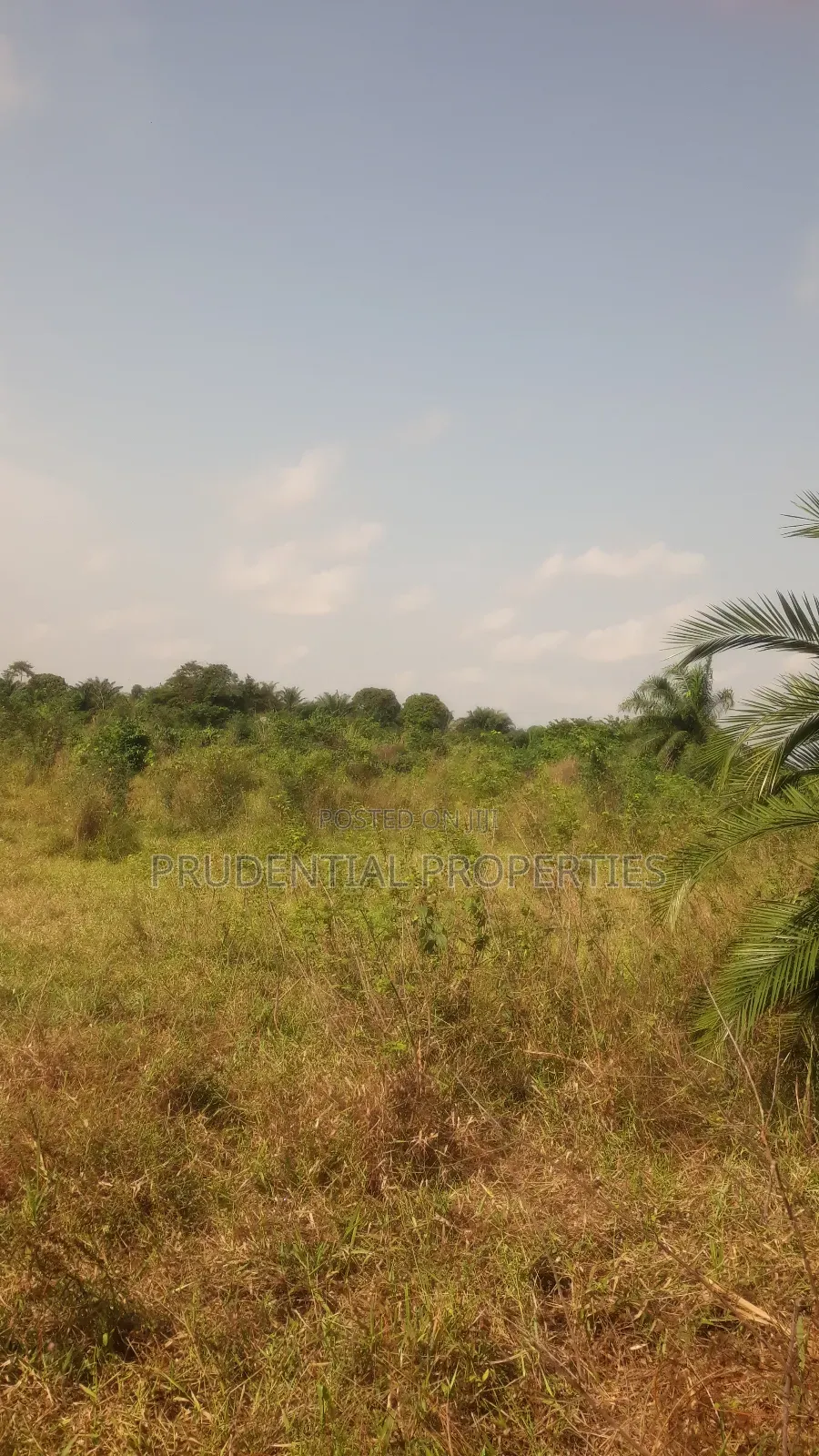 Land for Sale at Nsawam