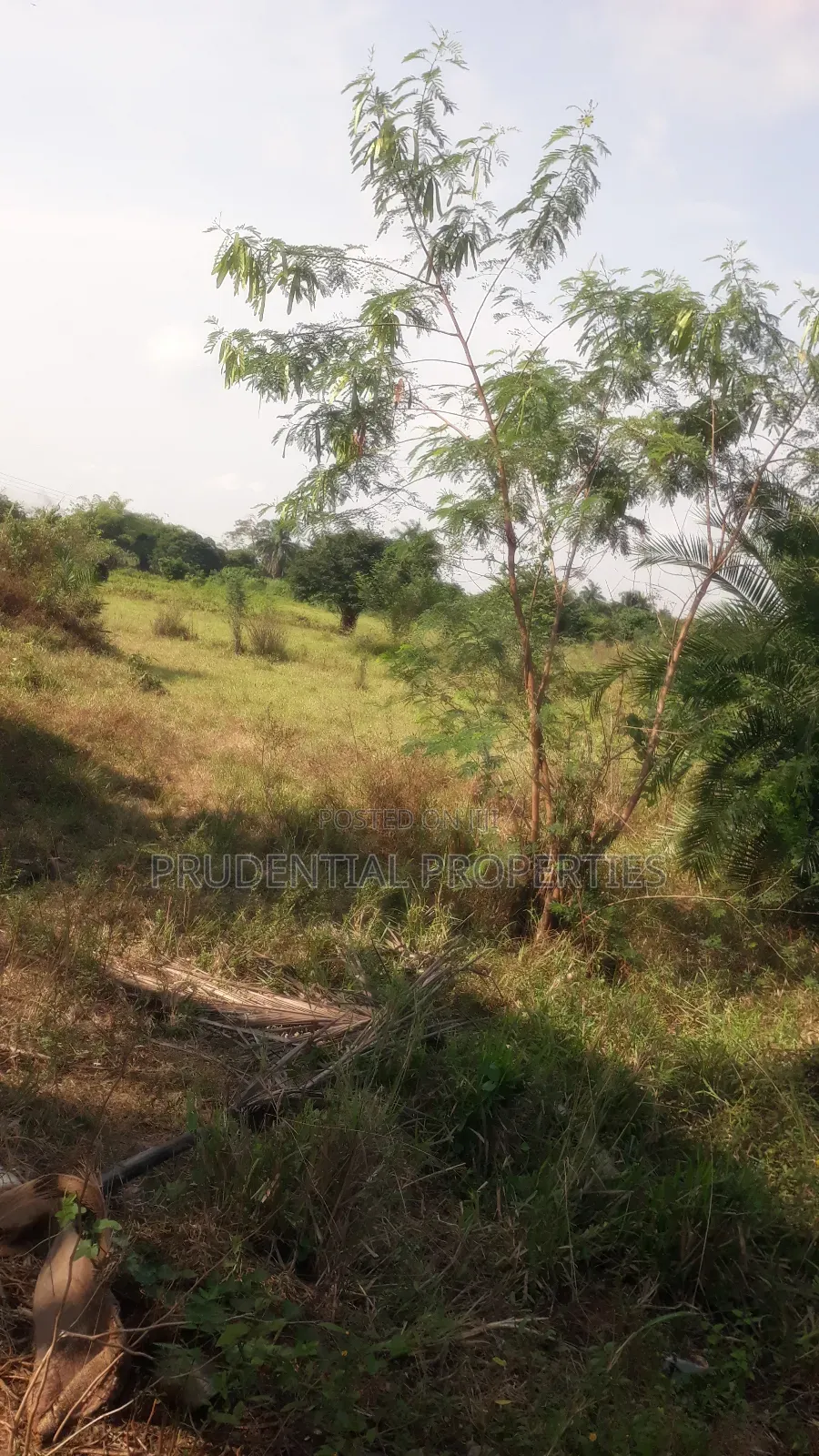 Land for Sale at Nsawam