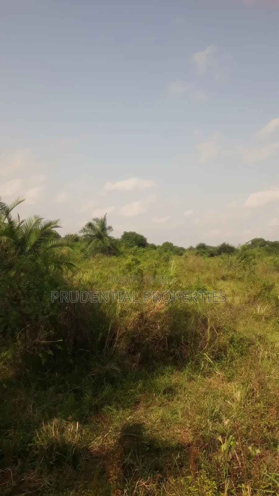 Land for Sale at Nsawam