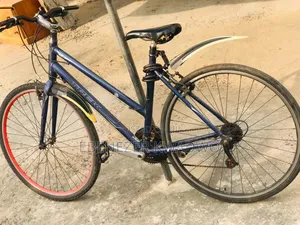 Mountain Bike for Sale